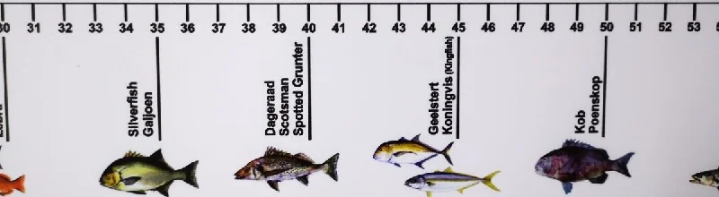 Fish Measurement Sticker